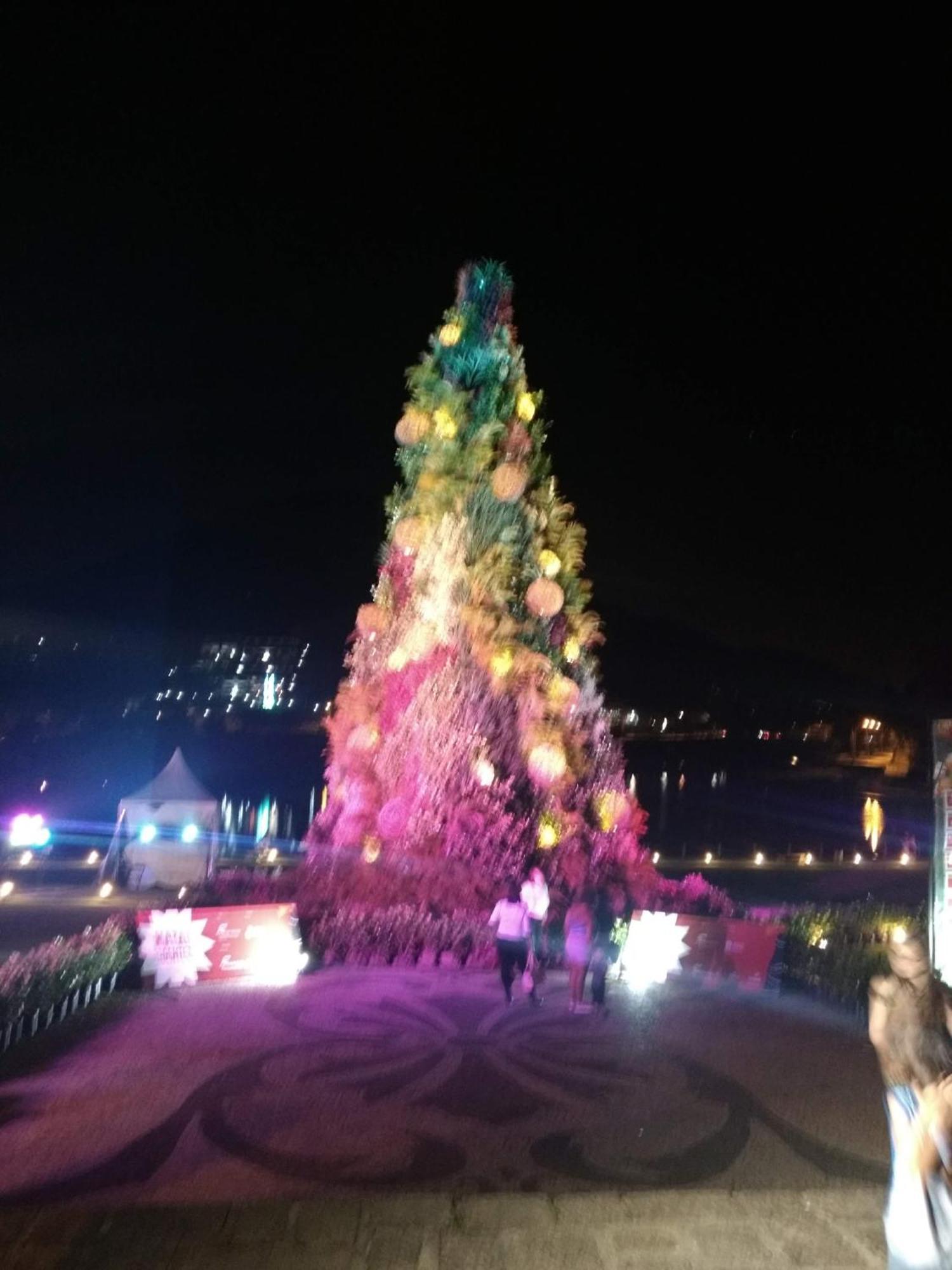 Apartamento Na Serra Daire Petrópolis Dış mekan fotoğraf